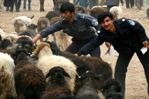 Kashgar - Traffic Cops.JPG (214835 bytes)